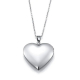 Pendentifs + Chaine Coeur